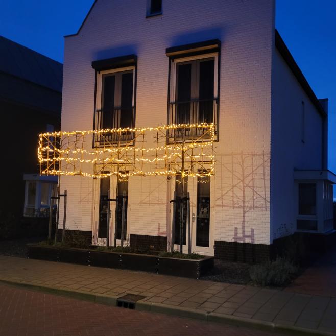 Leibomen met kerstverlichting, voortuin ideeën kerstversiering